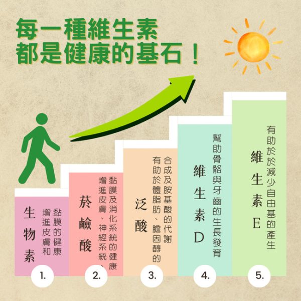 綜合維生素礦物質(30粒/瓶)