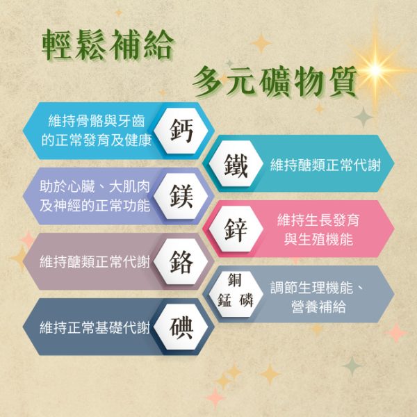 綜合維生素礦物質(30粒/瓶)