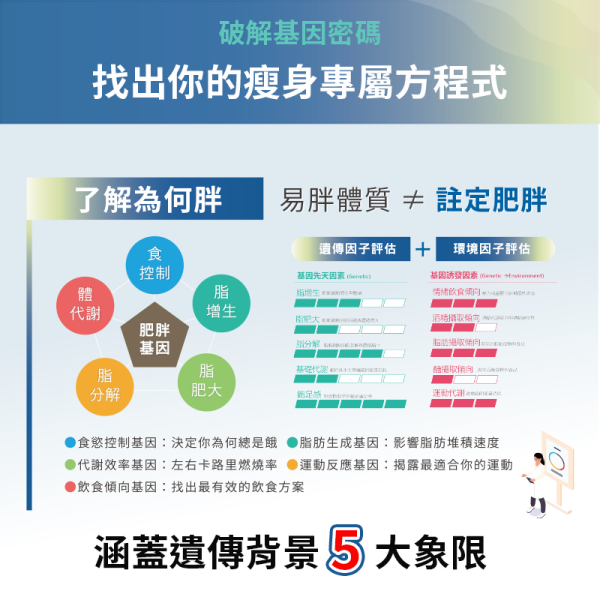 肥胖基因風險評估