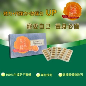 黃金樟芝 子實體+菌絲體膠囊(30粒/盒)