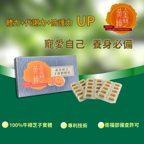 黃金樟芝 子實體+菌絲體膠囊(30粒/盒)