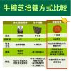 黃金樟芝 子實體+菌絲體膠囊(30粒/盒)