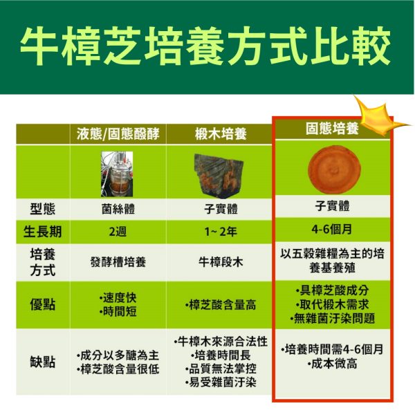 黃金樟芝 子實體+菌絲體膠囊(30粒/盒)