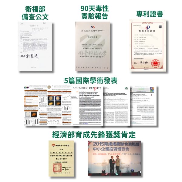 黃金樟芝 子實體+菌絲體膠囊(30粒/盒)