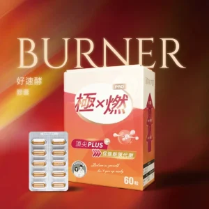 好速酵膠囊
