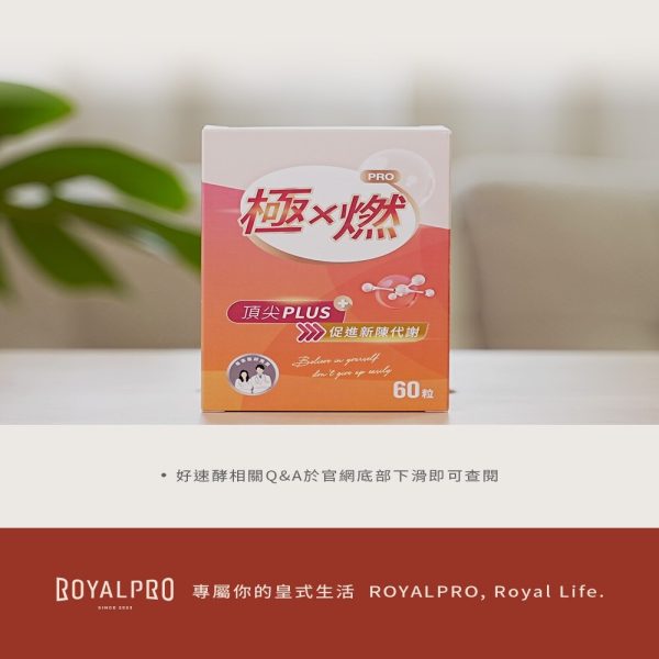 好速酵膠囊