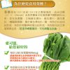 葉酸食品錠(純素)