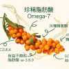 沙棘果油軟膠囊
