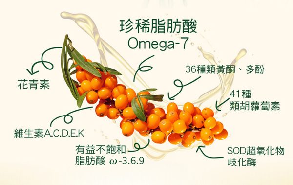 沙棘果油軟膠囊