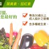 活力綜合維他命錠
