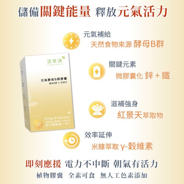 元氣酵母B群膠囊(60粒/盒）
