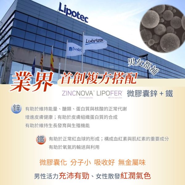 元氣酵母B群膠囊(60粒/盒）