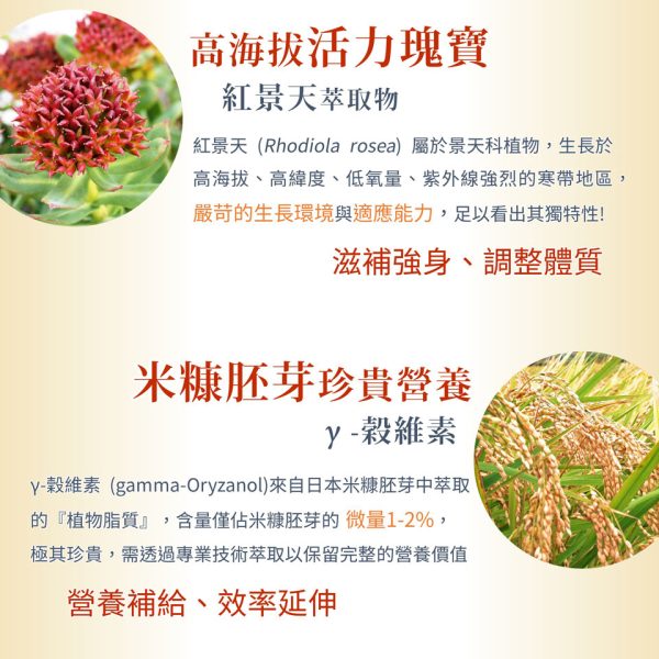 元氣酵母B群膠囊(60粒/盒）