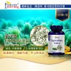 頂級螺旋藻錠