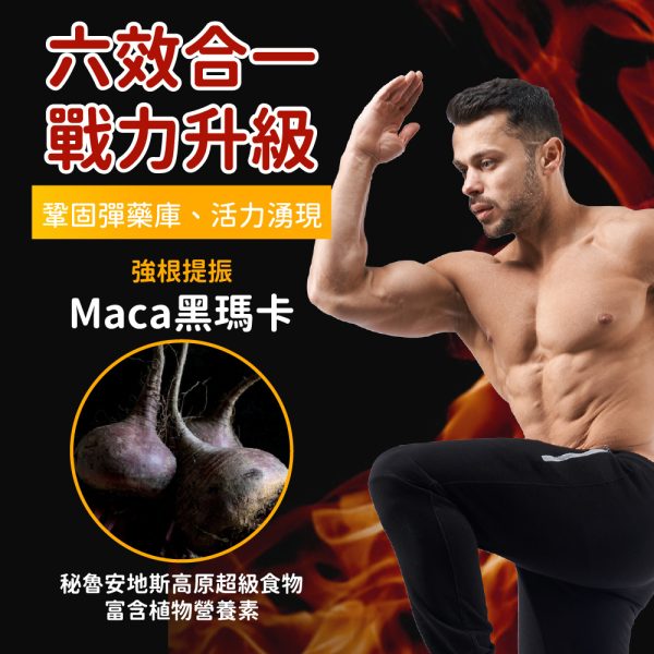美國美洲雄鷹錠