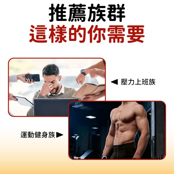 美國美洲雄鷹錠