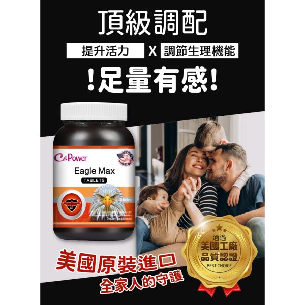 美國美洲雄鷹錠