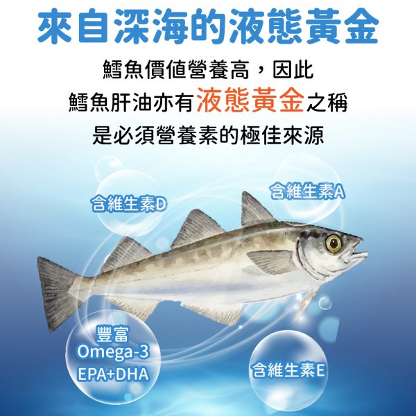 美國鱈魚肝油軟膠囊