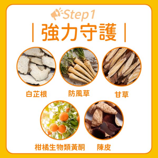 美國白芷防風草複合錠