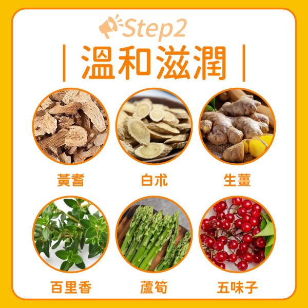 美國白芷防風草複合錠
