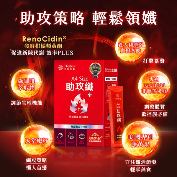 A4 SIZE 助攻纖