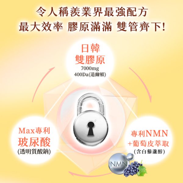 A4 SIZE 時光膠原 003 A4 SIZE 時光膠原